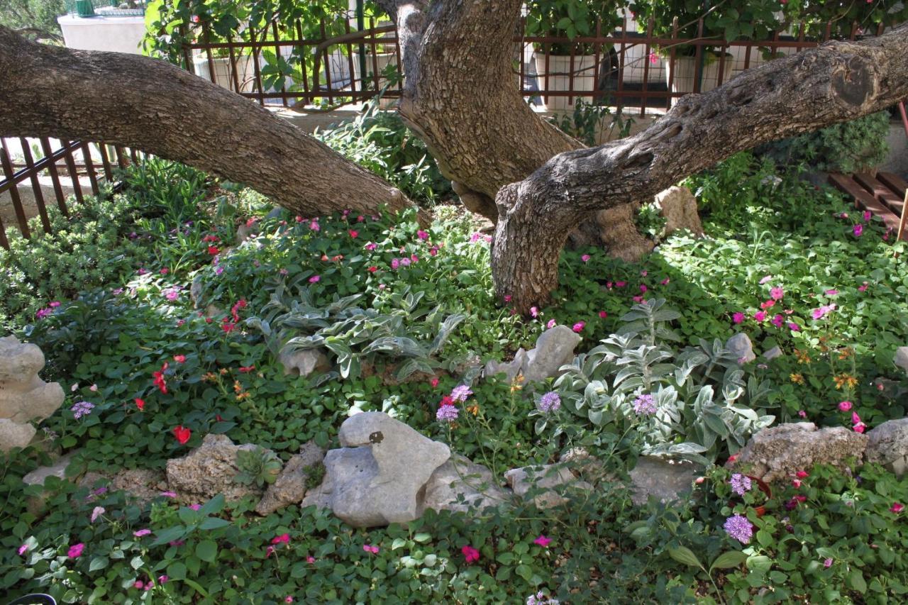Apartments With A Parking Space Makarska - 6792 Екстер'єр фото